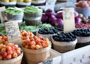 Portland State University ‘Nourishes’ Student Health