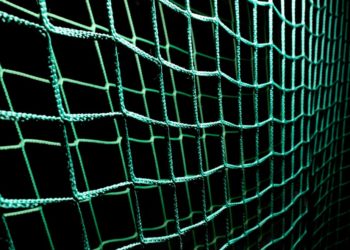 Choosing the Right Netting Solution
