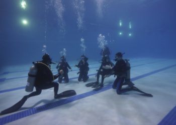 The Secret Behind Academic Diving