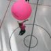 Big Pink Volleyball Raises Awareness Across the Country