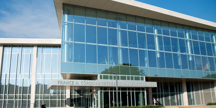 graduate professional internship