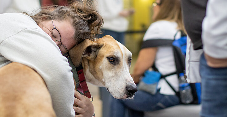 Mental Health Programming