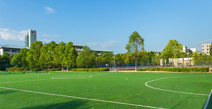 campus recreation playing fields