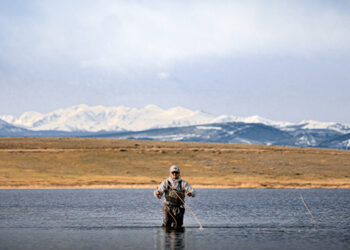 University of Wyoming