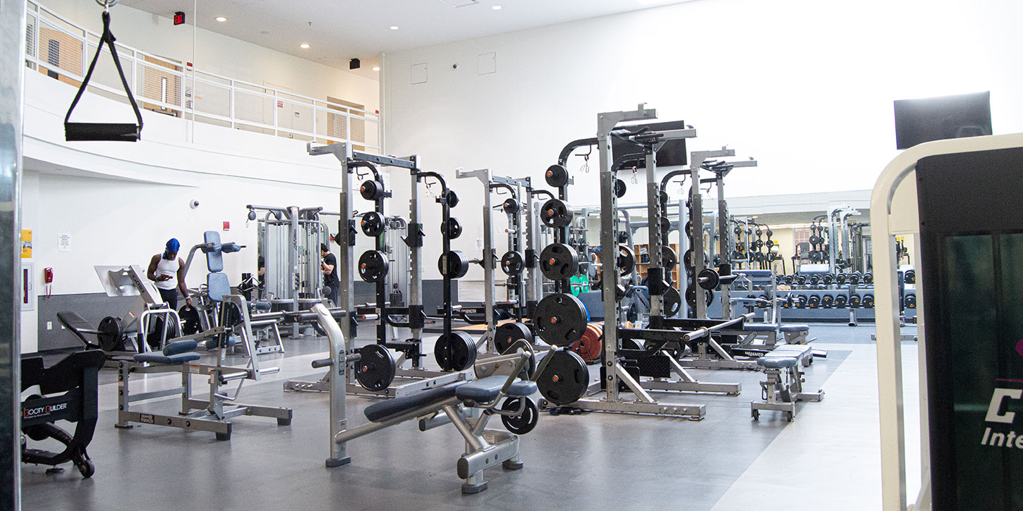 Adelphi University 